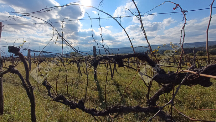 3. kép | Eladó Telek, Harka (#177346)