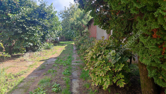 50. kép | Eladó Családi ház, Porrogszentkirály (#178270)