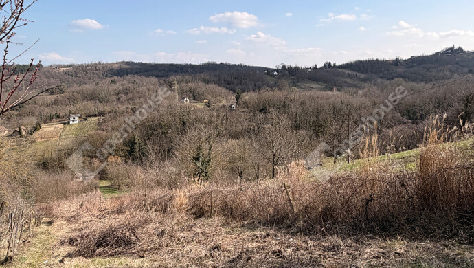 12. kép | Eladó Zárt kert, Pethőhenye (#178674)