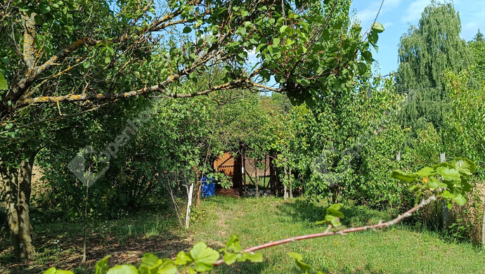 21. kép | Eladó Családi ház, Galambok (#176380)