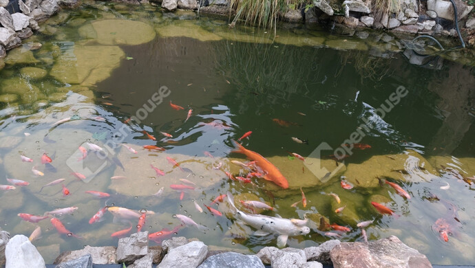 22. kép | Eladó Családi ház, Nagykanizsa (#178165)