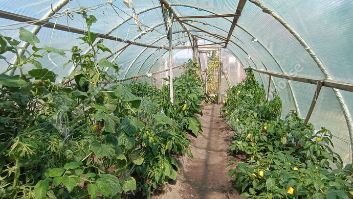 35. kép | Eladó Családi ház, Nagykanizsa (#176993)