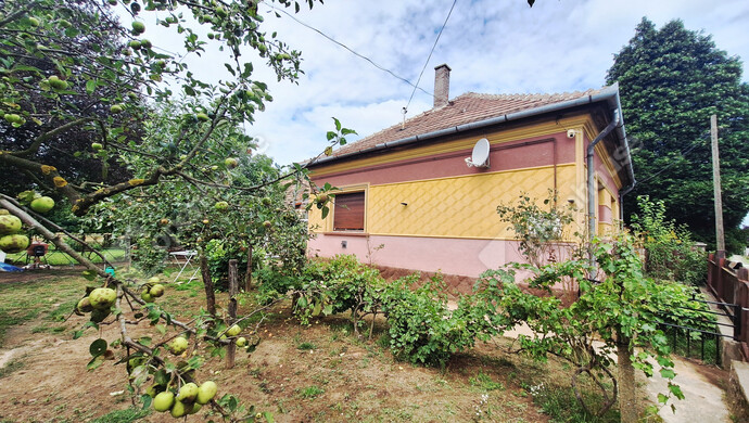 1. kép | Eladó Családi ház, Mesztegnyő (#177816)