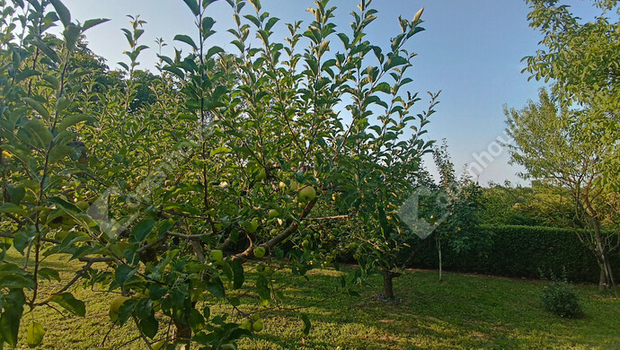 20. kép | Eladó Családi ház, Marcali (#177837)