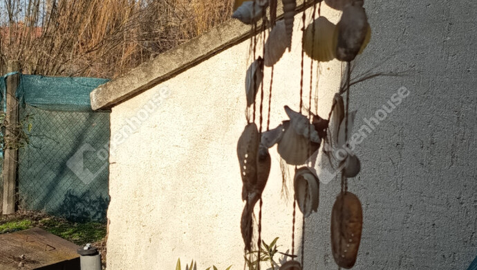 5. kép | Szélcsengő | Eladó Nyaraló, Szeged (#179659)