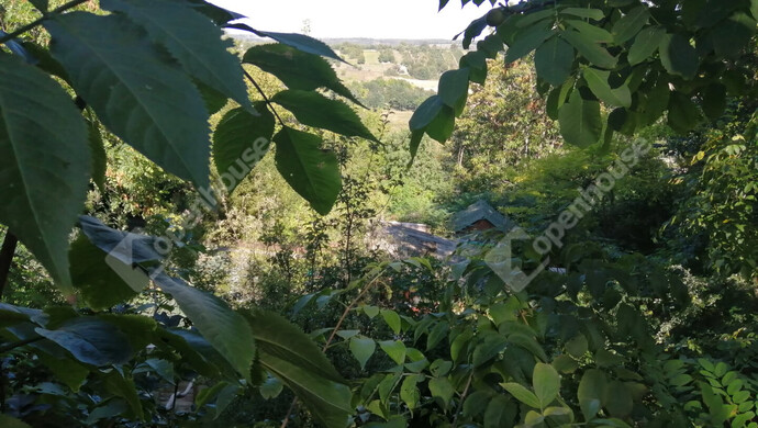 4. kép | Eladó Nyaraló, Ságvár (#176890)