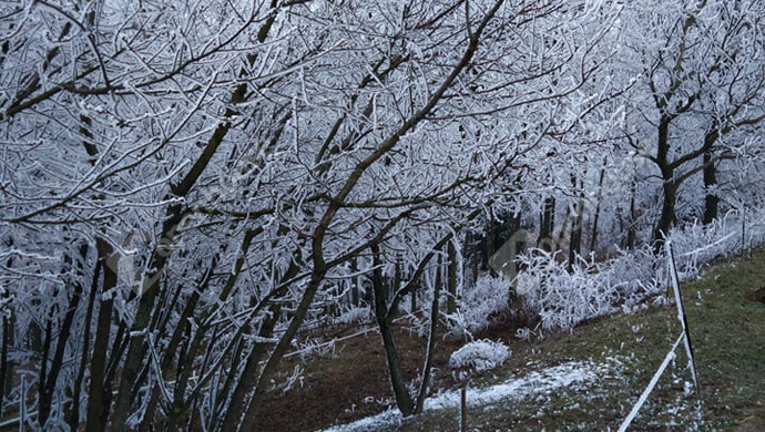 24. kép | Eladó Nyaraló, Ságvár (#176890)