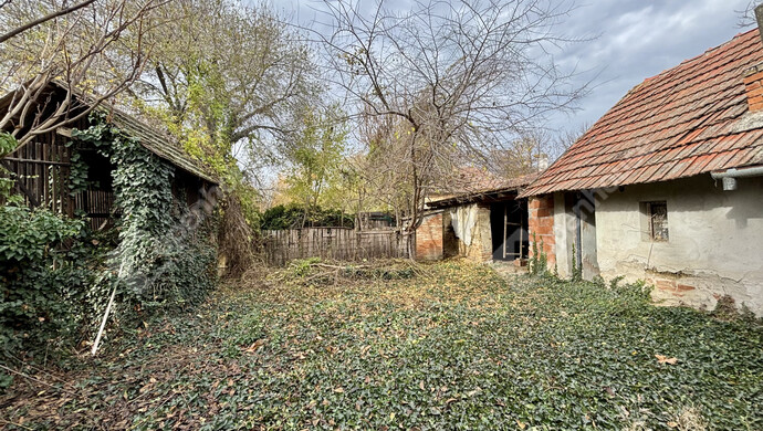 3. kép | Eladó Családi ház, Szeged (#178623)