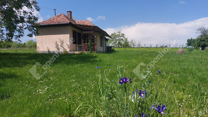 25. kép | Eladó Családi ház, Marcali (#178999)