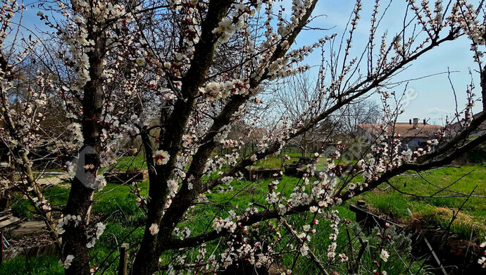 4. kép | Kápolnásnyék eladó építési telek | Eladó Telek, Kápolnásnyék (#180674)