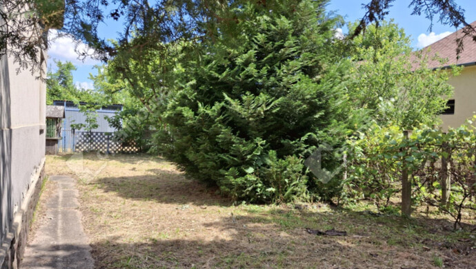 21. kép | Udvar | Eladó Családi ház, Barcs (#176095)