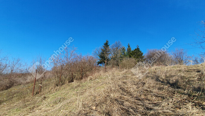 97. kép | Eladó Nyaraló, Homokkomárom (#180173)