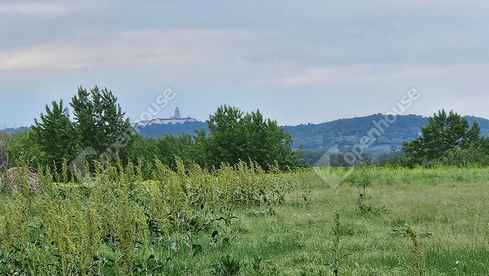 23. kép | Eladó Családi ház, Mezőörs (#174938)