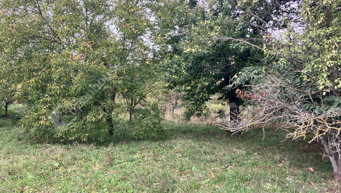 2. kép | Eladó Telek, Vöckönd (#177205)