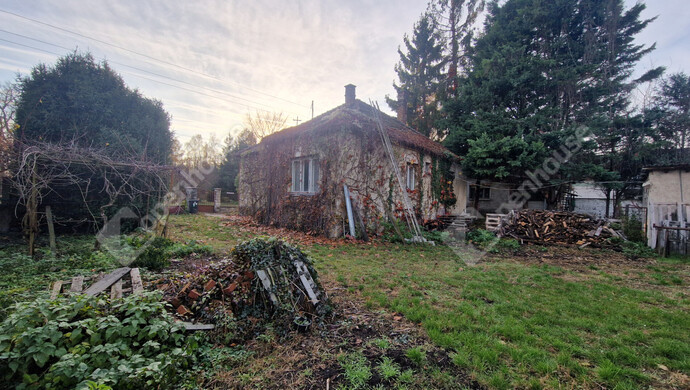 2. kép | Eladó Családi ház, Komárom (#178647)