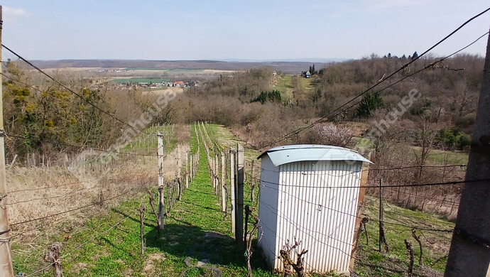 10. kép | Eladó Zárt kert, Nagypáli (#180466)