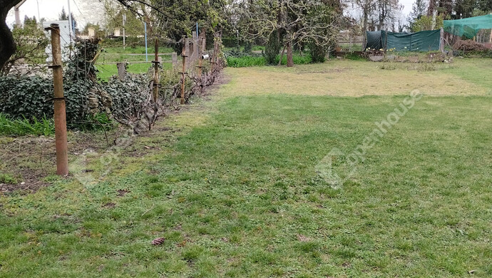 24. kép | Eladó Családi ház, Celldömölk (#180842)