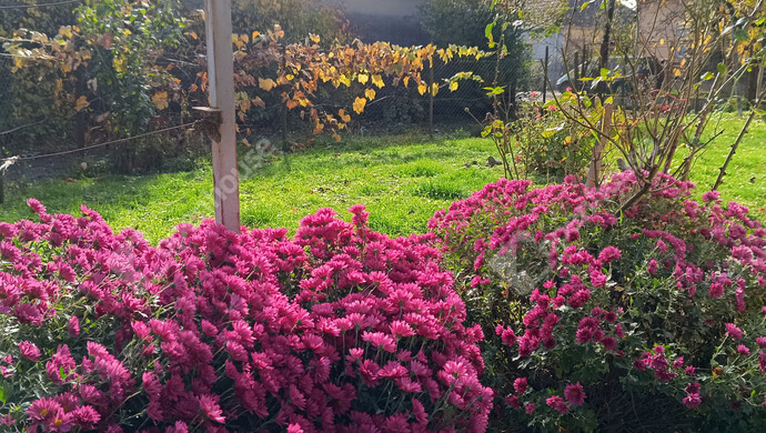 1. kép | Eladó Családi ház, Letenye (#177330)