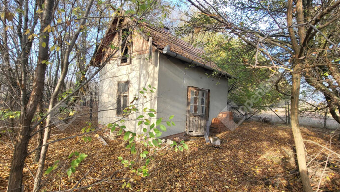 0. kép | Eladó Mezőgazdasági, Zsombó (#178321)