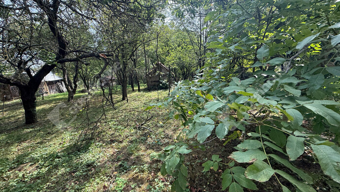 14. kép | Eladó Családi ház, Becsvölgye (#176934)