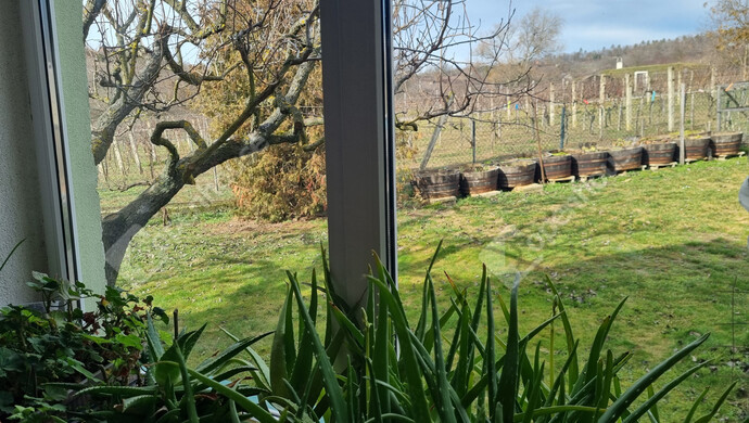 4. kép | Eladó Családi ház, Balatonalmádi (#180120)