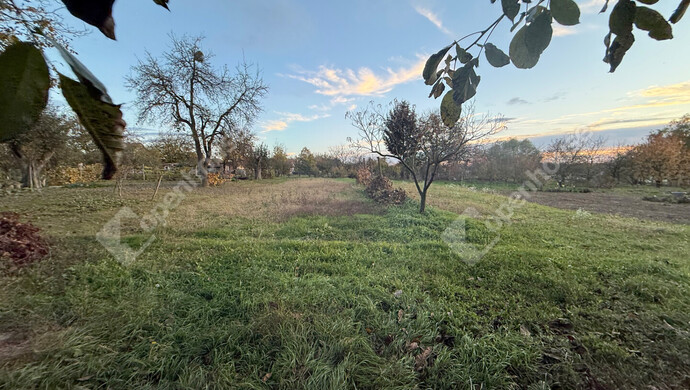 12. kép | Eladó Családi ház, Zalaegerszeg (#178105)