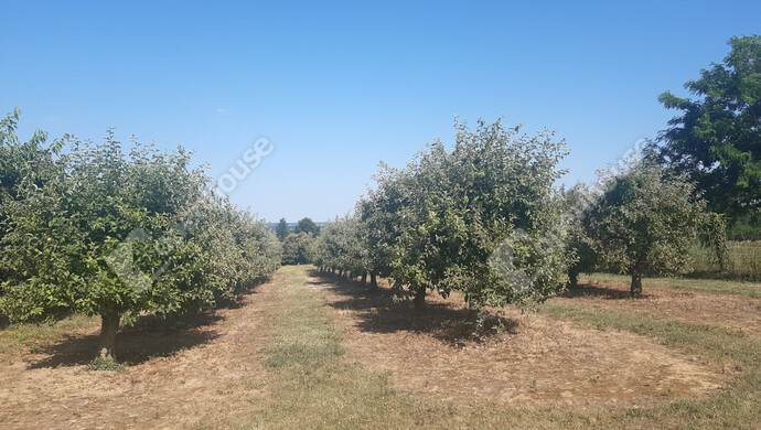 21. kép | Eladó Nyaraló, Sand (#175737)