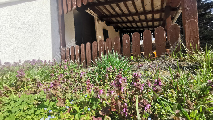 29. kép | Eladó Nyaraló, Homokkomárom (#170928)