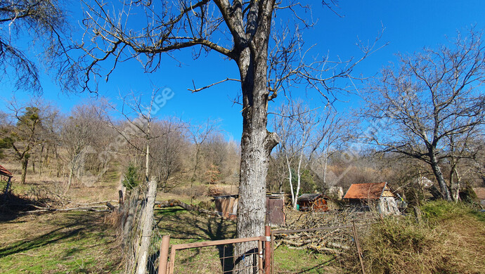 0. kép | Eladó Zárt kert, Homokkomárom (#180107)