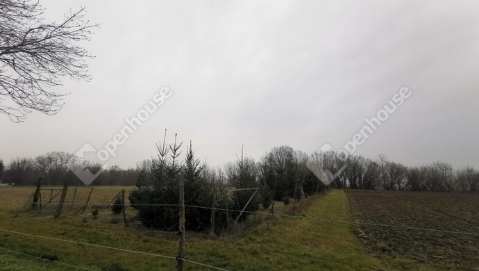 11. kép | Eladó Mezőgazdasági, Sármellék (#175513)