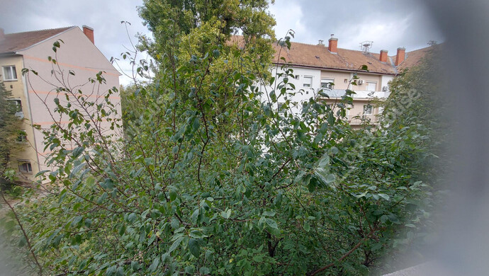 0. kép | Eladó Társasházi lakás, Győr (#177470)