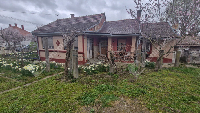 13. kép | Eladó Családi ház, Zalakomár (#180749)