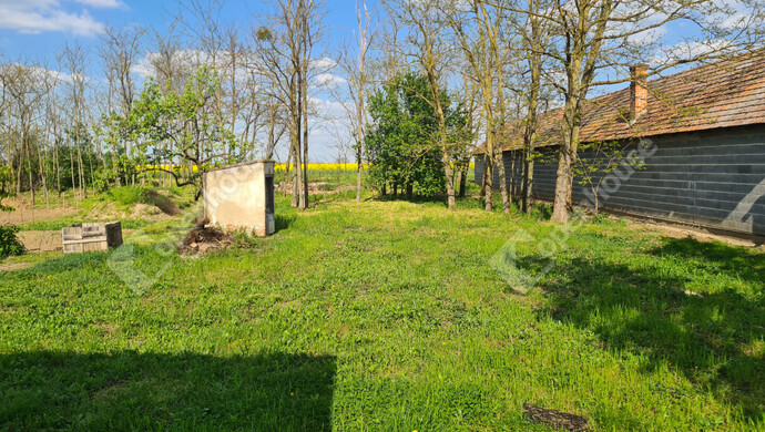 15. kép | Eladó Családi ház, Kenyeri (#181264)