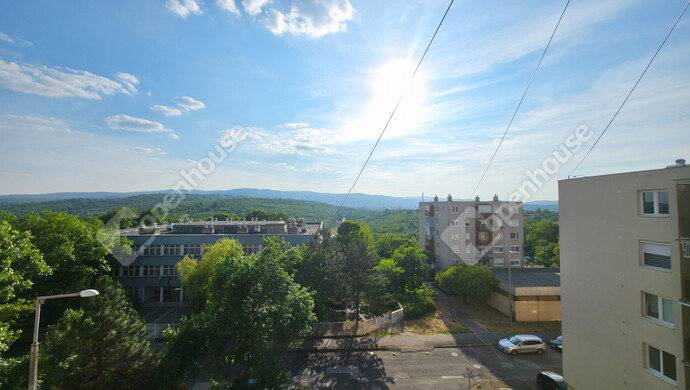 1. kép | Eladó Társasházi lakás, Miskolc (#175690)