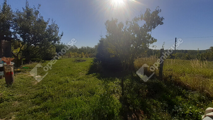 46. kép | Eladó Nyaraló, Nagykanizsa (#177111)