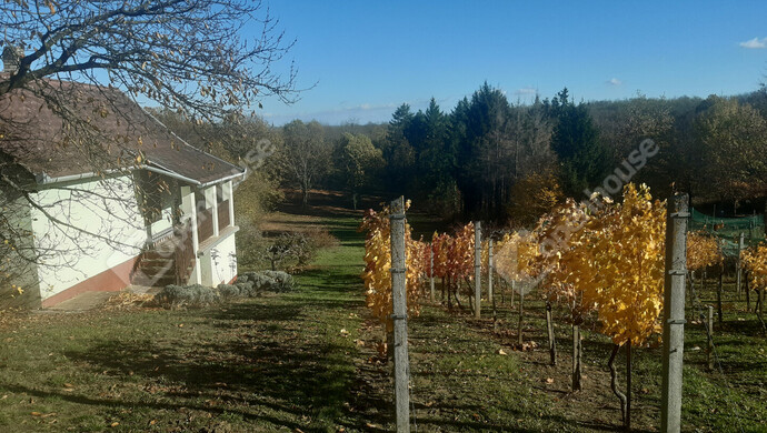 30. kép | Eladó Nyaraló, Sand (#178225)