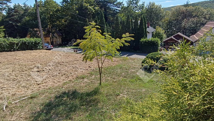 13. kép | Eladó Családi ház, Kistolmács (#176743)