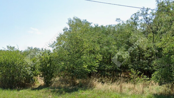 1. kép | Eladó Telek, Pápoc (#176854)