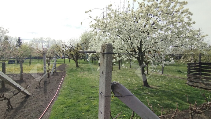 36. kép | Eladó Családi ház, Kisbér (#178396)