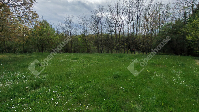 55. kép | Eladó Családi ház, Ötvöskónyi (#181241)