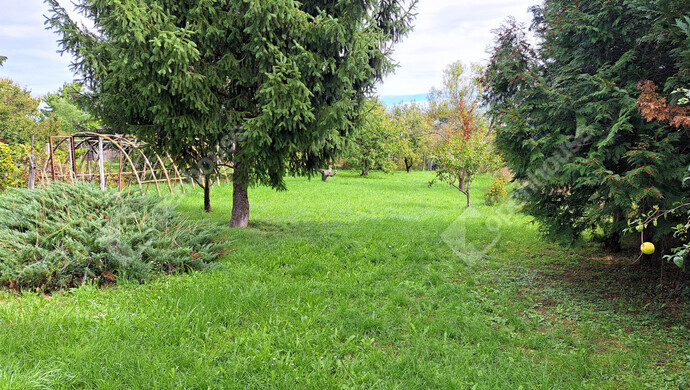 19. kép | Eladó Családi ház, Marcali (#178798)