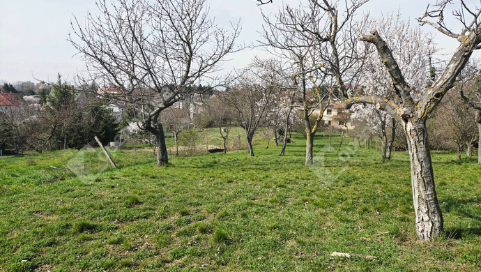 5. kép | Székesfehérvár eladó telek | Eladó Telek, Székesfehérvár (#180413)