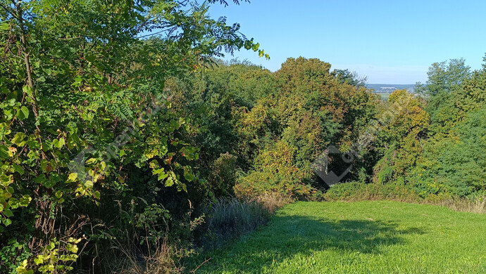 10. kép | Eladó Családi ház, Újudvar (#178058)