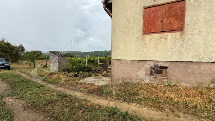 21. kép | Eladó Zárt kert, Nagykapornak (#176803)