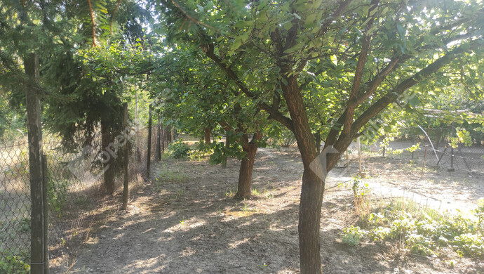 11. kép | Eladó Zárt kert, Szeged (#176754)