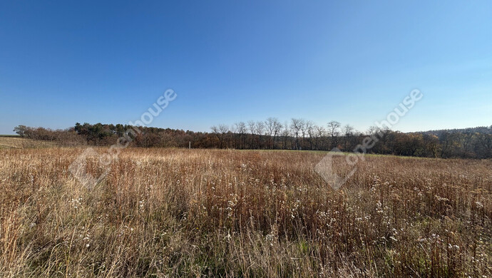 11. kép | Eladó Telek, Gomba (#178274)