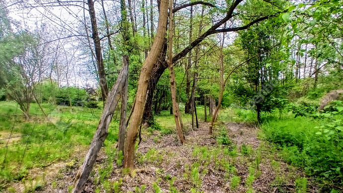 9. kép | Eladó Telek, Zalaegerszeg (#181405)