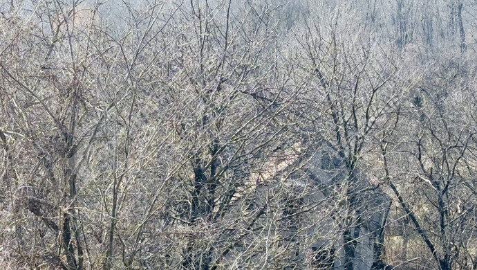 12. kép | Eladó Családi ház, Hollád (#177734)