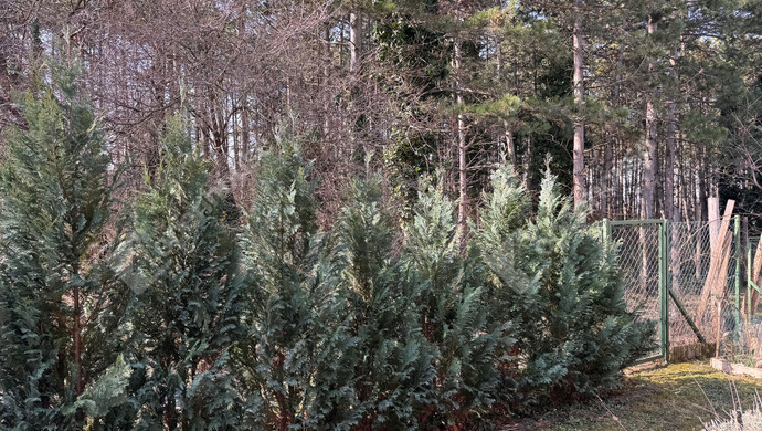 2. kép | Eladó Családi ház, Sopron (#178371)