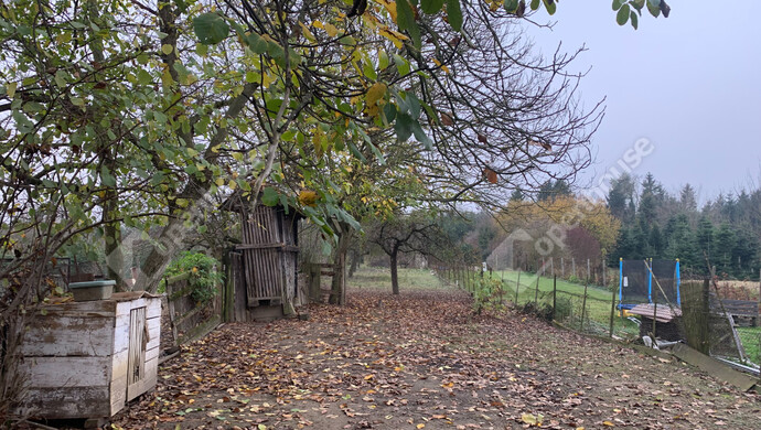 79. kép | Eladó Családi ház, Murakeresztúr (#178378)